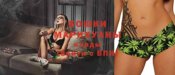стаф Белокуриха