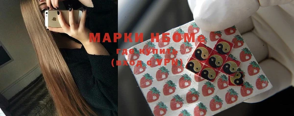 стаф Белокуриха