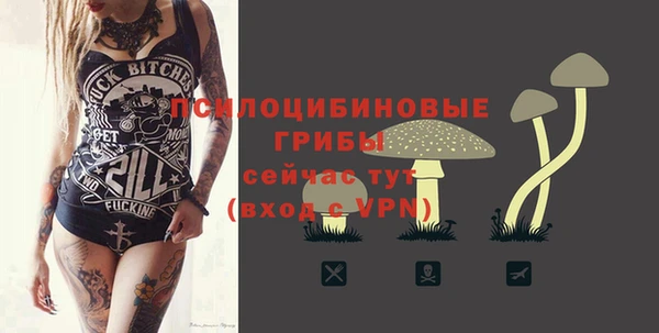стаф Белокуриха