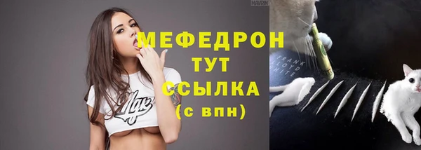 стаф Белокуриха