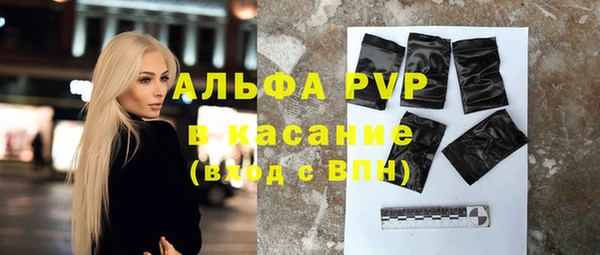стаф Белокуриха
