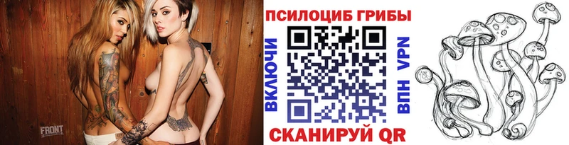 Псилоцибиновые грибы ЛСД  Дальнегорск 