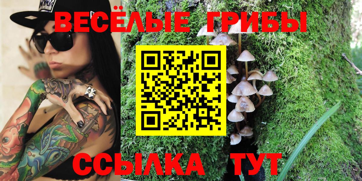 Галлюциногенные грибы мицелий Дальнегорск