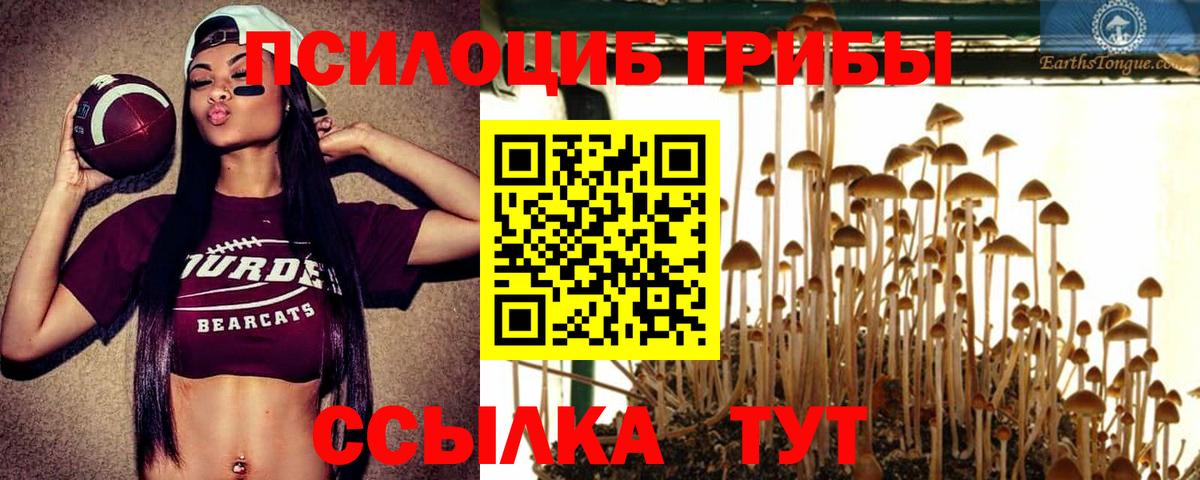 Дальнегорск  Псилоцибиновые грибы мухоморы  сколько стоит  Вход с VPN 
